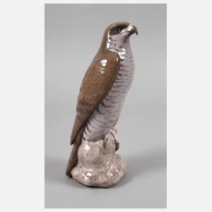 Kopenhagen "Großer Falke"