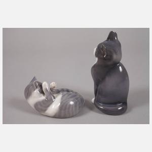 Kopenhagen zwei kleine Katzen