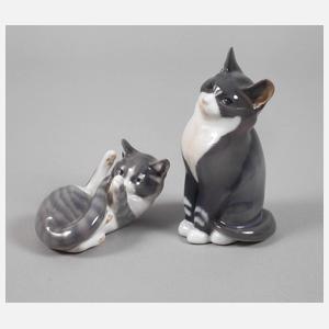 Kopenhagen zwei kleine Katzen