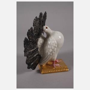 Nymphenburg Pfauentaube