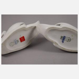 Kopenhagen Paar Schwäne