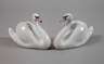 Kopenhagen Paar Schwäne