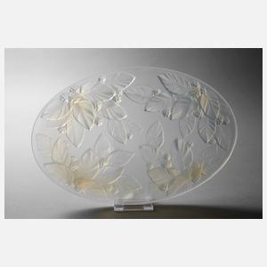 Presentoir Vernox Paris