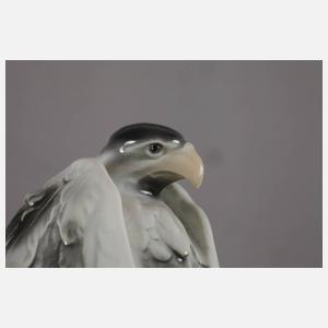 Galluba & Hofmann Ilmenau Geierpaar