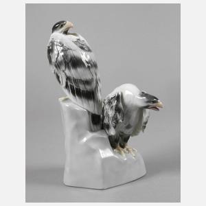 Galluba & Hofmann Ilmenau Geierpaar