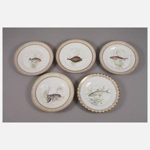 Kopenhagen zehn Fischteller im Fauna Danica-Stil