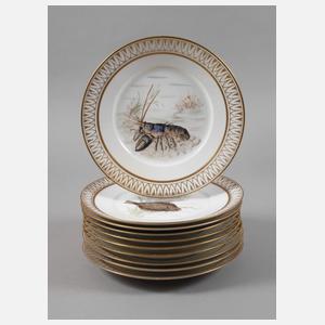 Kopenhagen zehn Fischteller im Fauna Danica-Stil