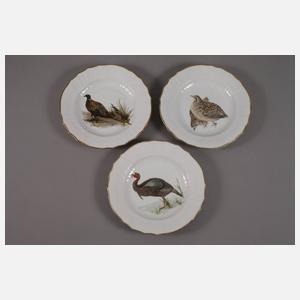 Kopenhagen sechs Speiseteller mit Vogelmotiven