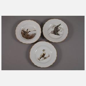 Kopenhagen sechs Speiseteller mit Vogelmotiven