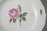 Meissen sechs Speiseteller "Rote Rose"