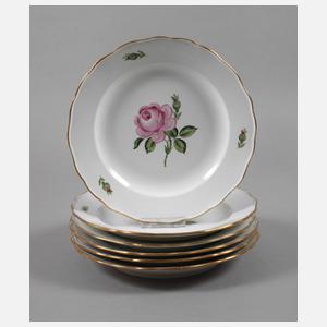 Meissen sechs Speiseteller "Rote Rose"