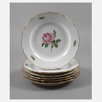 Meissen sechs Speiseteller "Rote Rose"111