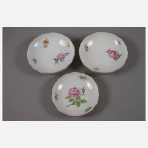 Meissen Konvolut Blumenmalerei