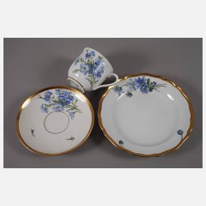 Meissen Gedeck naturalistische Blumenmalerei