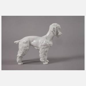 Meissen "Pudel"