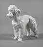 Meissen "Pudel"
