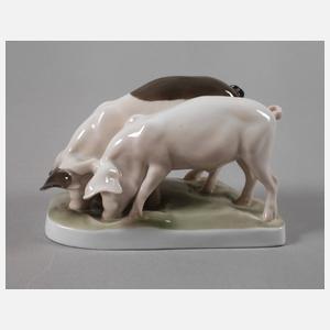 Rosenthal "Schweinepaar"