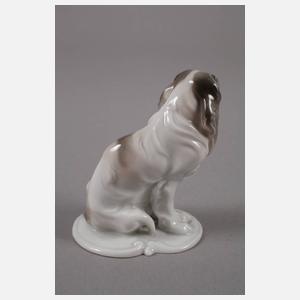 Rosenthal kleiner "King Charles Spaniel"