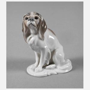 Rosenthal kleiner "King Charles Spaniel"