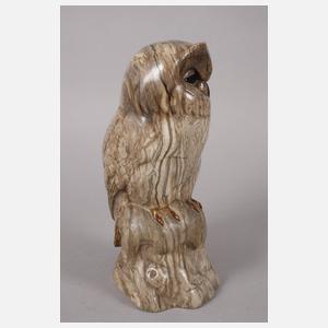 Paul Zeiller Waldkauz