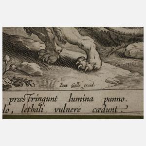 Cornelius Galle I., Auf der Löwenjagd