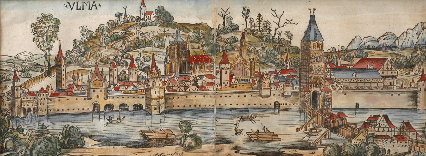 Hartmann Schedel, Ulm