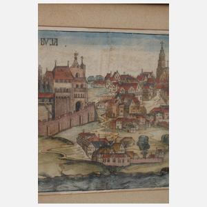 Hartmann Schedel, Budapest