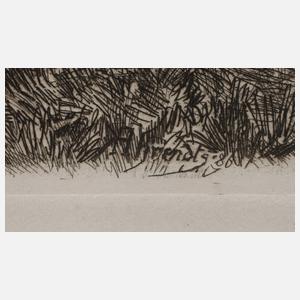 Konrad Ahrendts, Schloss Belvedere