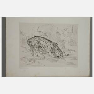 Eugéne Delacroix, Faksimiles