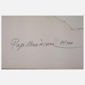 Wolfgang Fratscher, "Papilonaceae"