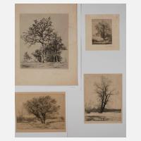 August Futterer, Konvolut Baumdarstellungen111