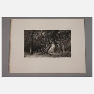 Dr. med. Otto Gampert, Sammlung Radierungen