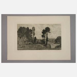 Karl Theodor Meyer-Basel, Konvolut Radierungen