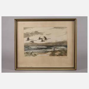 Karl Olzewski, "Wildschwäne im aufkommenden Sturm"