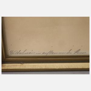 Karl Olzewski, "Wildschwäne im aufkommenden Sturm"