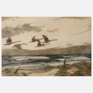 Karl Olzewski, "Wildschwäne im aufkommenden Sturm"