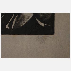 Otto Rudolf Schatz, Am Spiegel