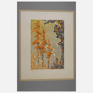 Künast, Bunter Herbstwald