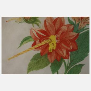 Salvador Dali, attr., "Dahlia Unicornis"