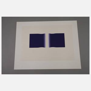 Ronald Matthes, Konvolut Graphik