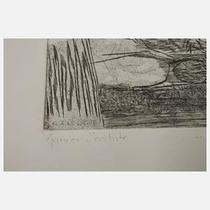 Prof. Heinz Trökes, Ohne Titel