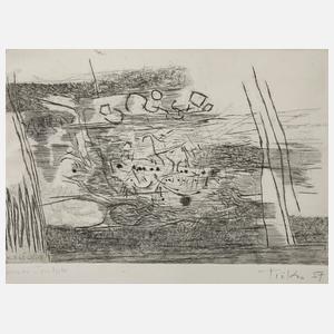 Prof. Heinz Trökes, Ohne Titel