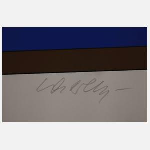 Victor Vasarely, Geometrische Komposition