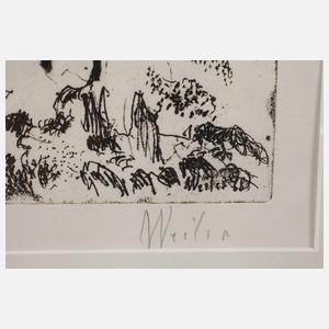 Prof. Max Weiler, "Bienendämon"