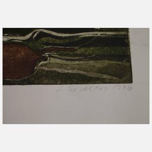 Umfangreiche Graphiksammlung