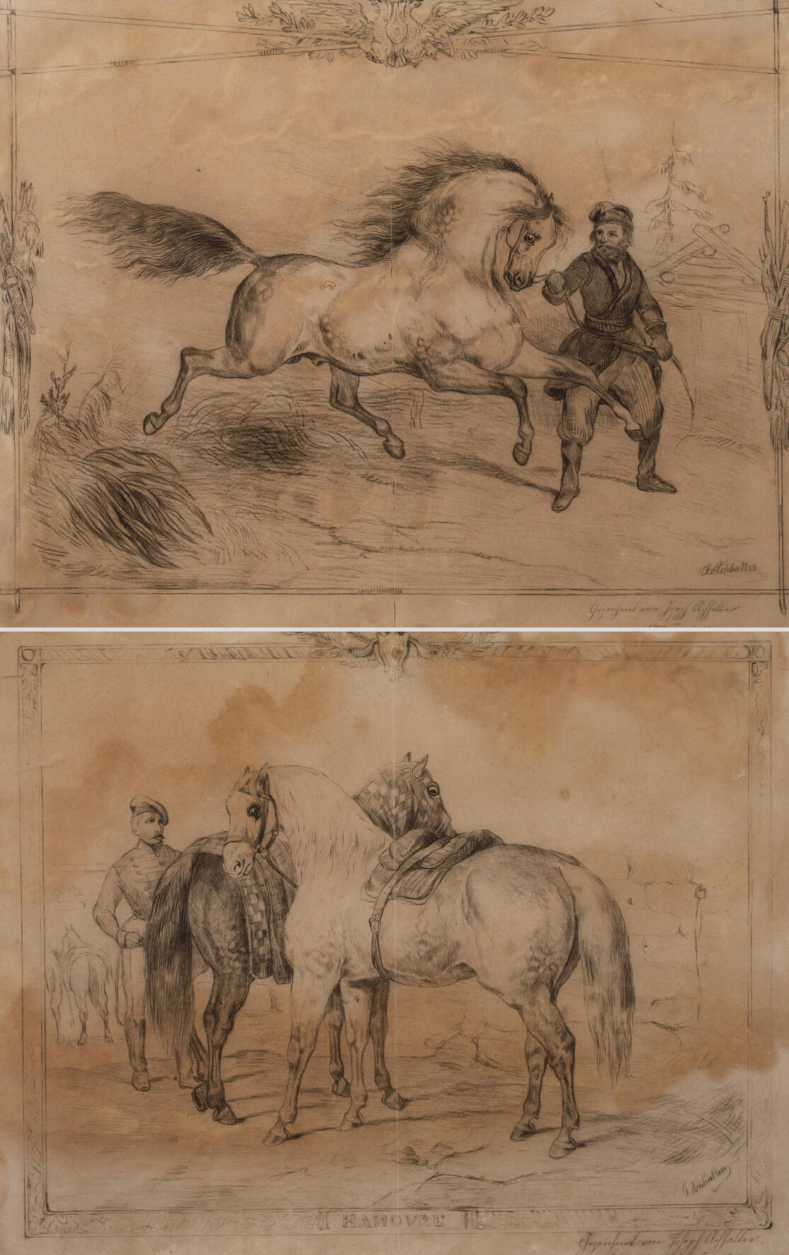 Joseph Achhalter, Zwei Pferdedarstellungen