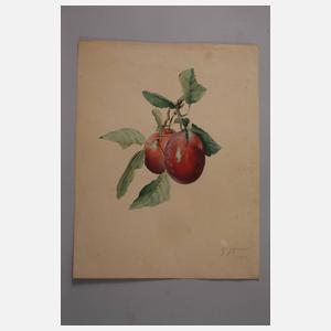 Konvolut Porzellanentwurfszeichnungen