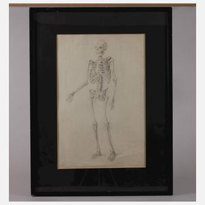 Paar Anatomiestudien