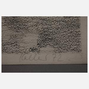 Udo Kaller, Hügelige Landschaft mit Baumgruppe