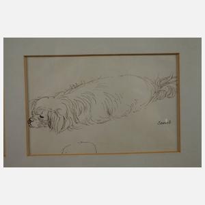 P. Seward, Hundestudien